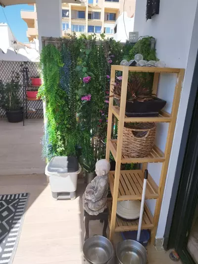 Semi-Detached House in Estepona