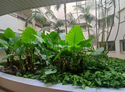 Middle Floor Apartment in Estepona