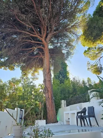 Townhouse in Marbella