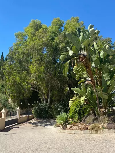 Penthouse Duplex in Elviria