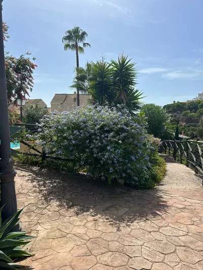 Penthouse Duplex in Elviria