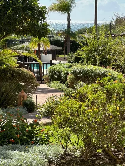 Ground Floor Apartment in Estepona