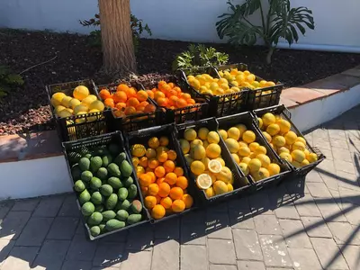 Finca - Cortijo in Estepona