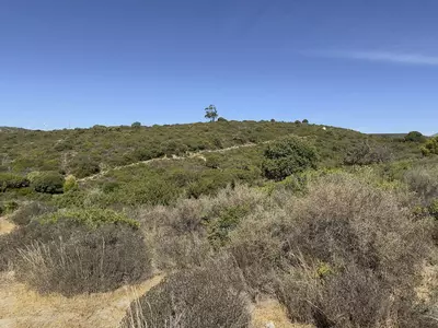 Land in Casares