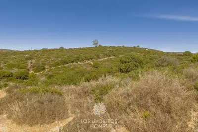 Land in Casares