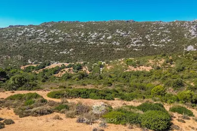 Land in Casares