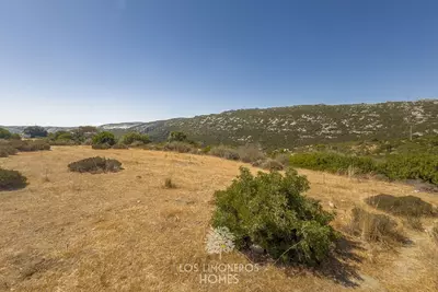 Land in Casares