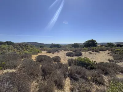 Land in Casares
