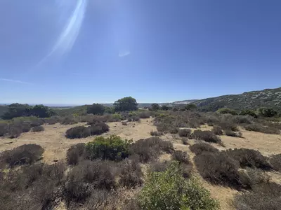 Land in Casares