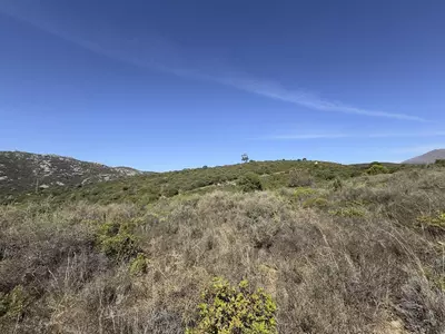 Land in Casares