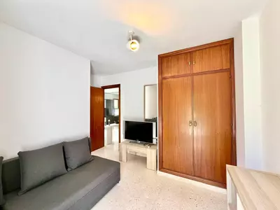 Top Floor Apartment in Elviria