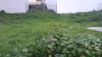 Residential Plot in Casares