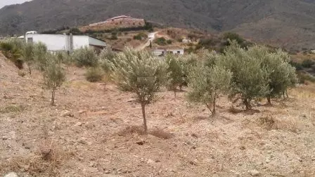 Land in Estepona