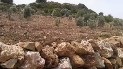 Land in Estepona