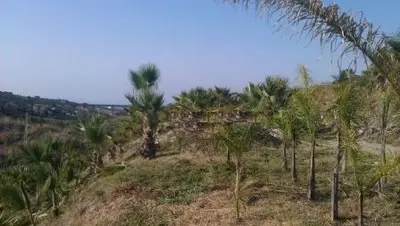 Land in Estepona