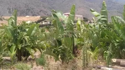 Land in Estepona