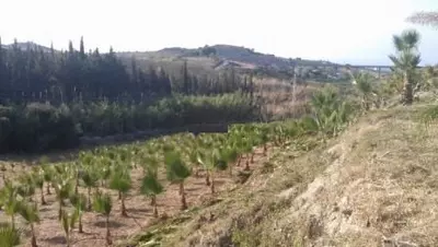Land in Estepona