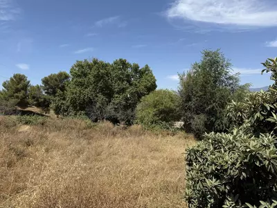 Residential Plot in San Pedro de Alcántara