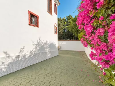 Detached Villa in Guadalmina Baja