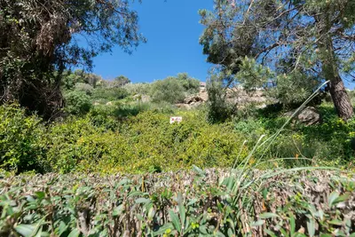 Residential Plot in Manilva