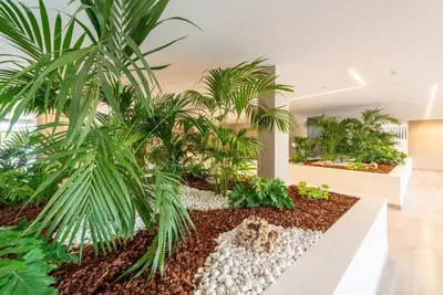 Middle Floor Apartment in Nueva Andalucía