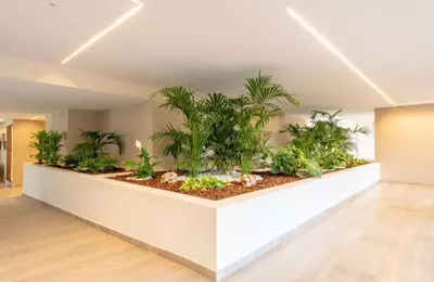 Middle Floor Apartment in Nueva Andalucía