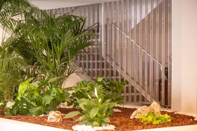 Middle Floor Apartment in Nueva Andalucía