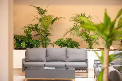 Middle Floor Apartment in Nueva Andalucía