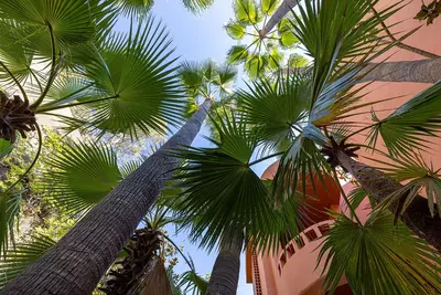 Penthouse in Benahavís