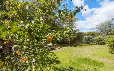 Ground Floor Apartment in Benahavís