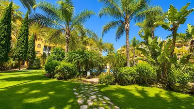Ground Floor Apartment in San Pedro de Alcántara
