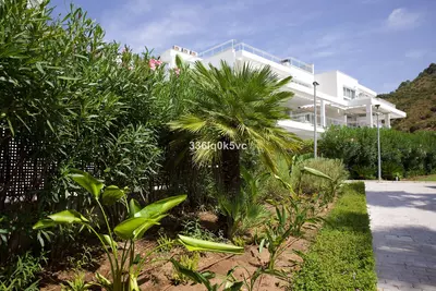 Penthouse in Benahavís