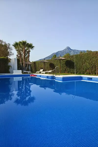 Ground Floor Apartment in Nueva Andalucía