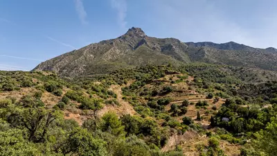 Residential Plot in Marbella