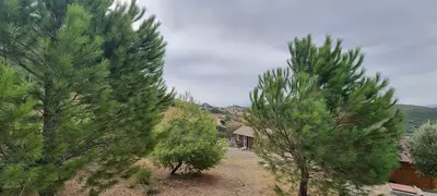 Finca - Cortijo in Casares