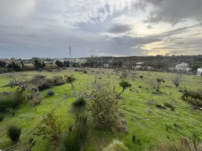 Detached Villa in Estepona
