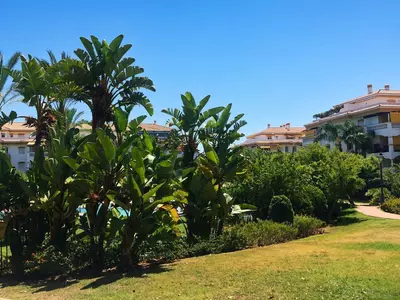 Top Floor Apartment in Nueva Andalucía