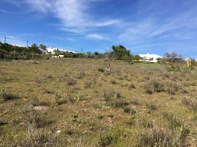 Land in Cancelada