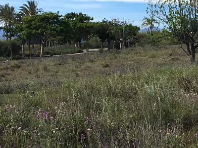 Land in Cancelada