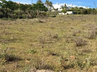 Land in Cancelada
