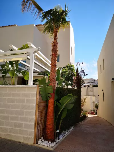 Semi-Detached House in Estepona