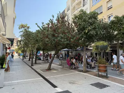 Top Floor Apartment in Estepona