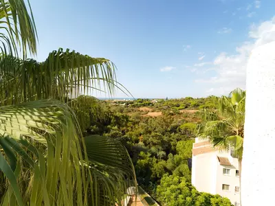 Penthouse in Elviria