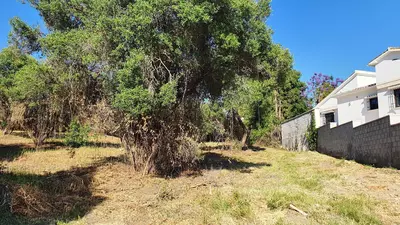 Land in San Pedro de Alcántara