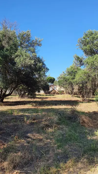 Land in San Pedro de Alcántara
