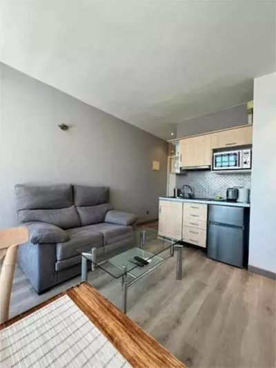 Middle Floor Studio in Nueva Andalucía