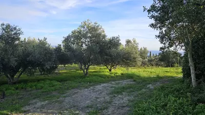 Finca - Cortijo in Manilva