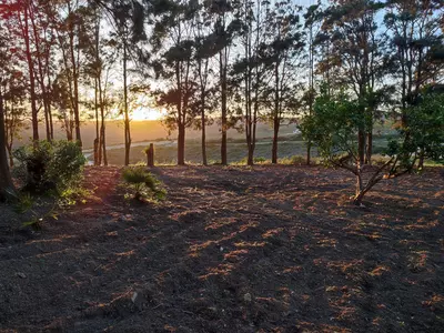 Finca - Cortijo in Manilva
