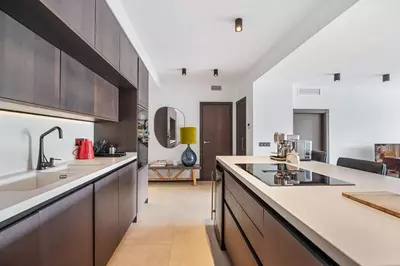 Top Floor Apartment in Elviria