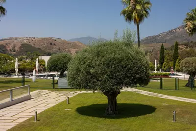 Ground Floor Apartment in Benahavís